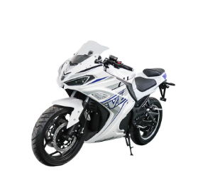 electric racing motorcycle