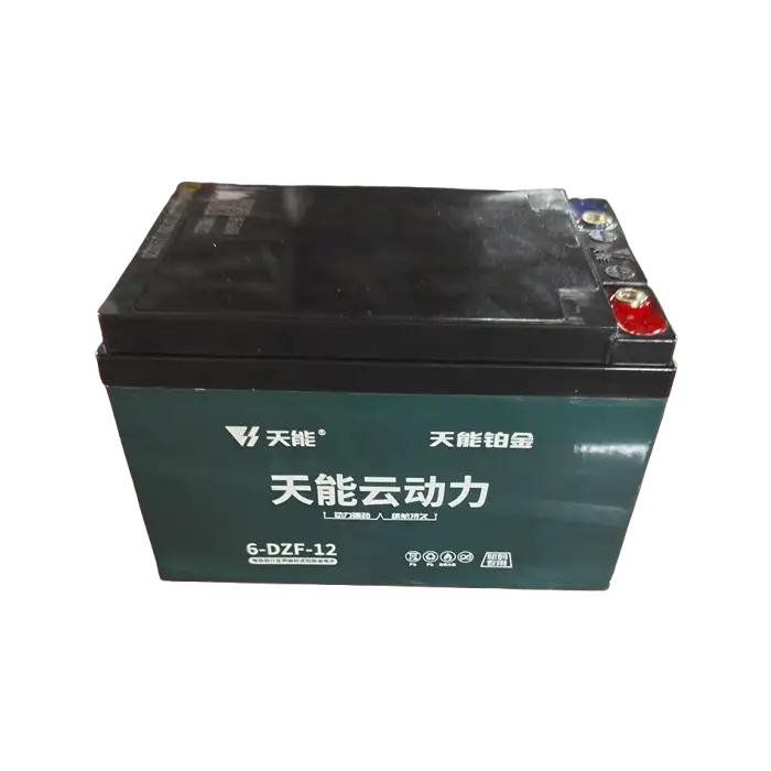 بطارية محمومة منظمة الرصاص المحمولة من 48V-72V 12A
